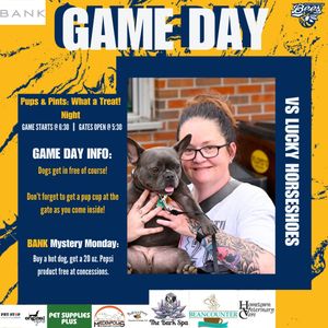 Image post by @burlington_bees on Instagram