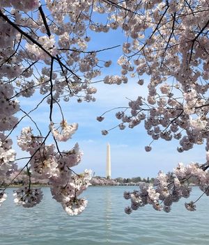 Image post by @nationalparkservice on Instagram
