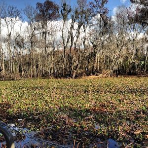 Image post by @bradleysmithsc on Instagram