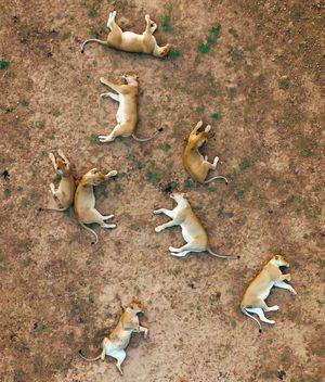Image post by @natgeo on Instagram