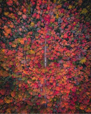 Image post by @dronepals on Instagram