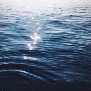 Image post by @kaikinibikinis on Instagram