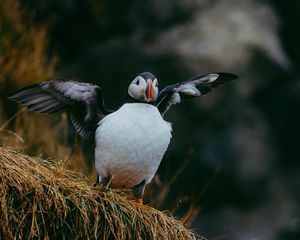 Image post by @martemedia on Instagram