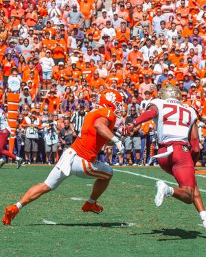 Image post by @cutigervision on Instagram