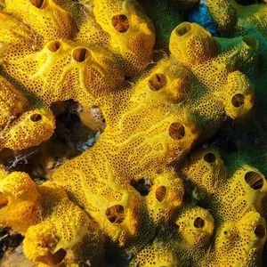 Image post by @discovery on Instagram