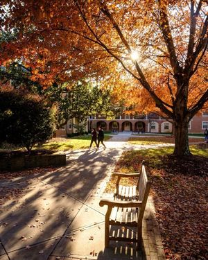 Image post by @wakewtennis on Instagram