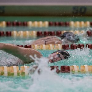 Image post by @stolafswimdive on Instagram