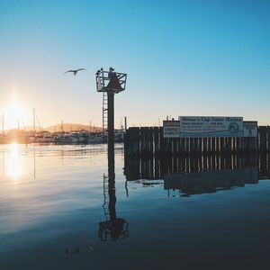 Image post by @willtrogdon on Instagram