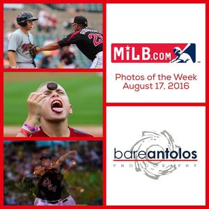 Image post by @rocredwings on Instagram