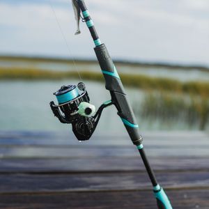 Image post by @toadfishoutfitters on Instagram