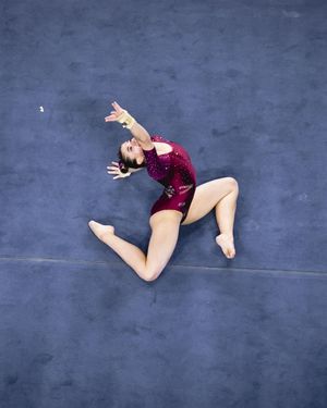 Image post by @sundevilgymnastics on Instagram
