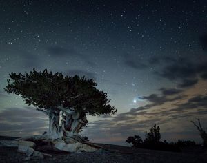 Image post by @nationalparkservice on Instagram