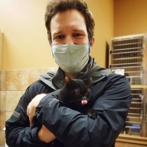 Image post by @spokhumanesoc on Instagram