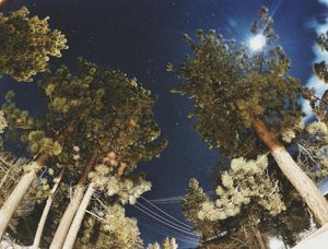 Image post by @gusj714 on Instagram