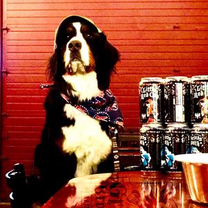 Image post by @grimmbrosbrew on Instagram