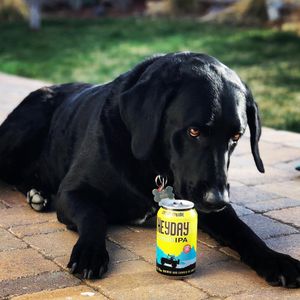 Image post by @greatdividebrew on Instagram