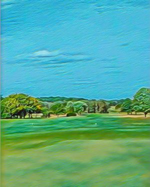 Image post by @alexknappegolf on Instagram