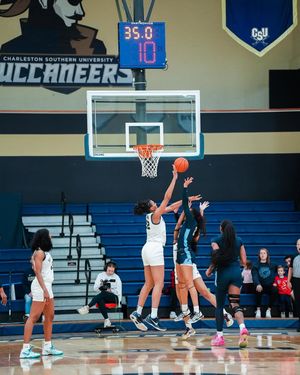 Image post by @csubucswbb on Instagram