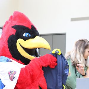 Image post by @memphisredbirds on Instagram