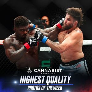 Image post by @pflmma on Instagram