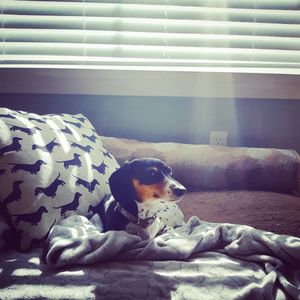 Image post by @hollysmee on Instagram