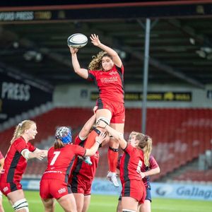 Image post by @bucssuperrugby on Instagram