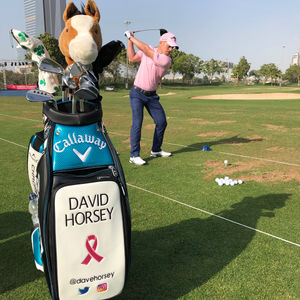 Image post by @davehorsey on Instagram