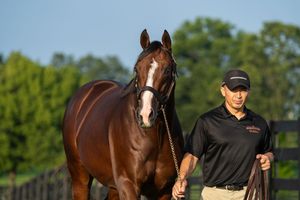 Image post by @spendthriftfarm on Instagram