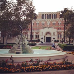 Image post by @uscdornsife on Instagram