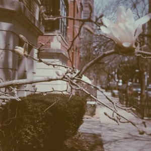 Image post by @dmbsocial on Instagram