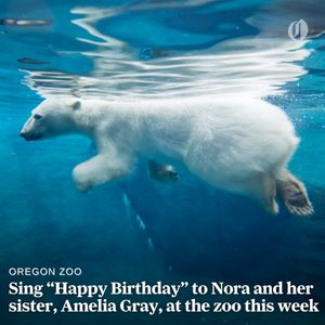 Image post by @theoregonian on Instagram