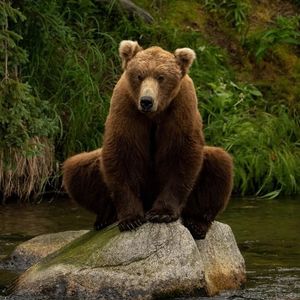 Image post by @nationalparkservice on Instagram