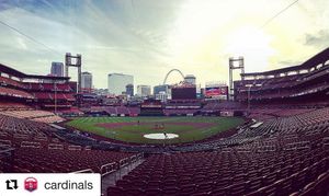 Image post by @springfield_cardinals on Instagram