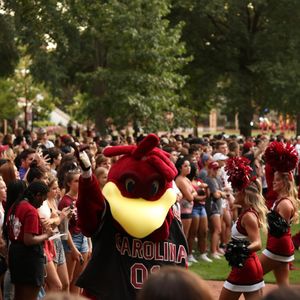 Image post by @uofsc on Instagram