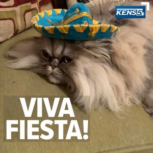 Image post by @kens5 on Instagram