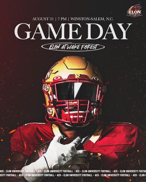 Image post by @elonfb on Instagram