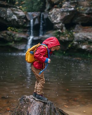 Image post by @tylerleaman on Instagram