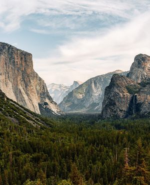 Image post by @drewpeden on Instagram