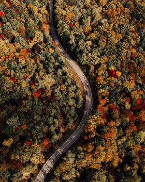 Image post by @drewpeden on Instagram
