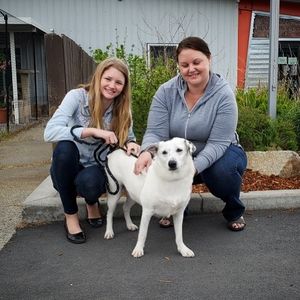Image post by @spokhumanesoc on Instagram