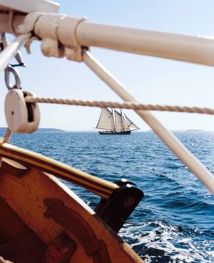 Image post by @themainemag on Instagram