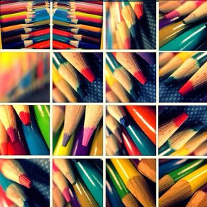 Image post by @commonvision on Instagram