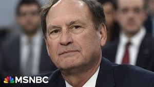 Video post by @msnbc on YouTube