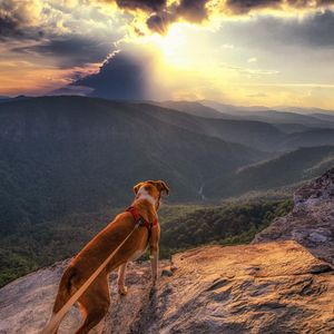 Image post by @jpotterphoto on Instagram