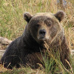 Image post by @nationalparkservice on Instagram