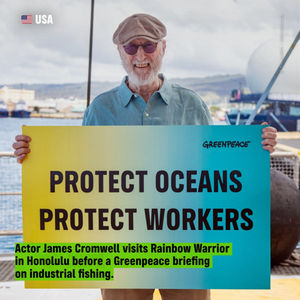 Image post by @greenpeace on Instagram
