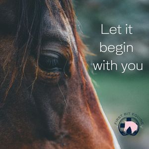 Image post by @first_bit_equine_ on Instagram
