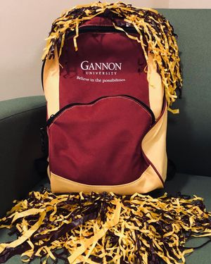 Image post by @gannon_sca on Instagram