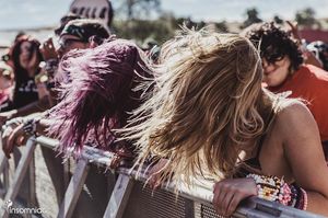 Image post by @beyondwland on Instagram