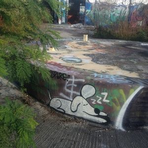 Image post by @chrishaven on Instagram